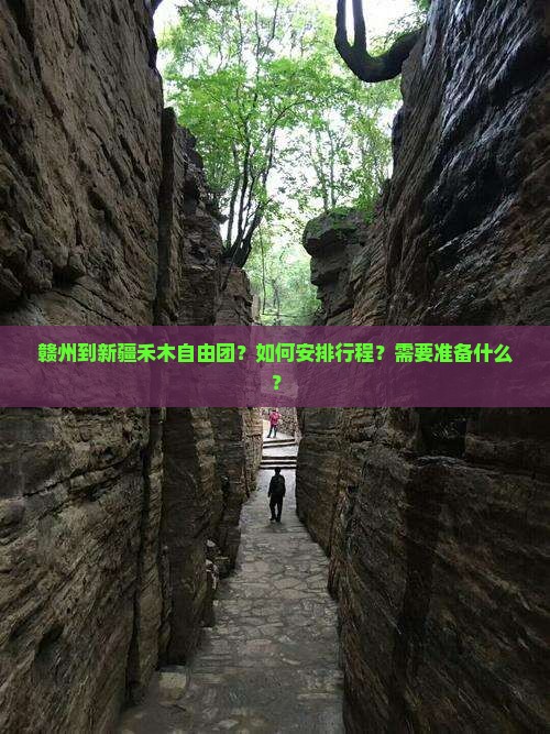 赣州到新疆禾木自由团