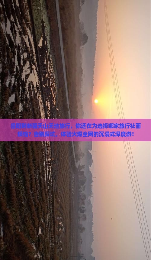 岳阳到新疆天山天池旅行社