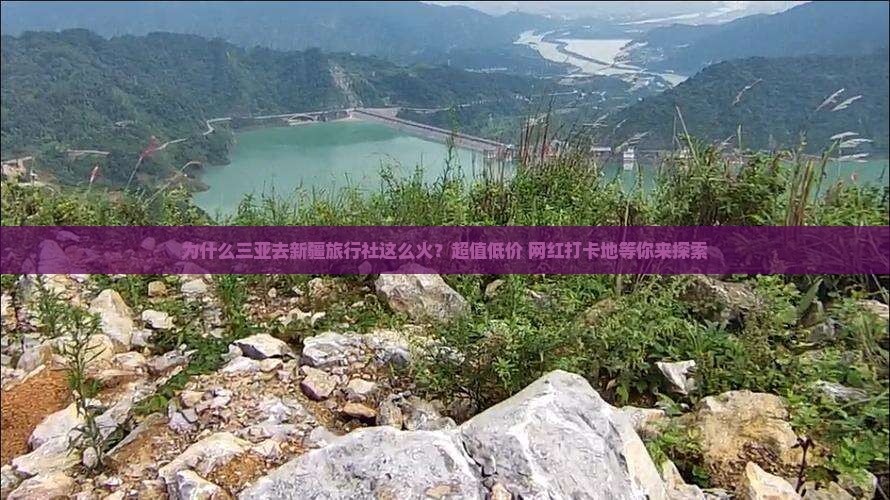 三亚去新疆旅行社