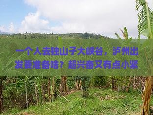 泸州去新疆独山子大峡谷个人游