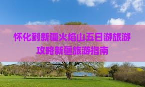 怀化到新疆火焰山五日游