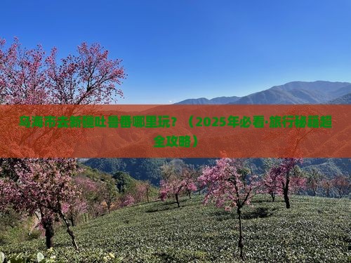 乌海市去新疆吐鲁番哪里玩