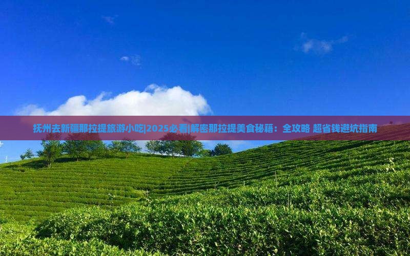 抚州去新疆那拉提旅游小吃