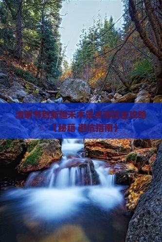 清明节到新疆禾木景点 清明节到新疆禾木景点