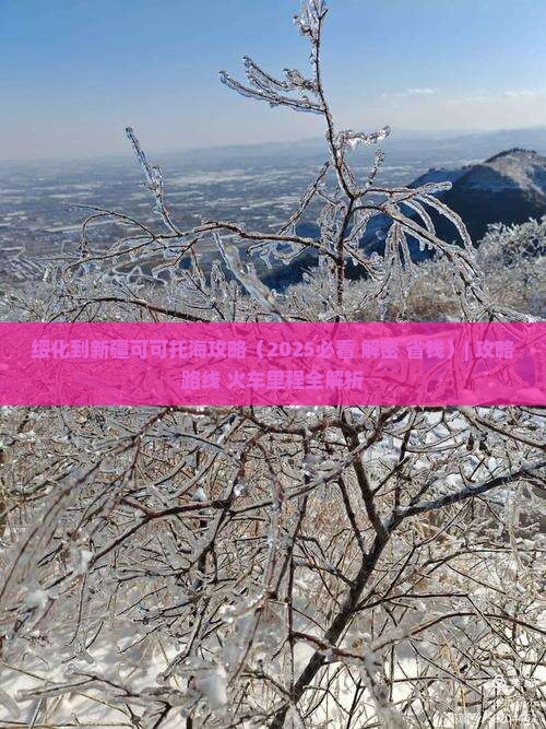 绥化到新疆可可托海攻略