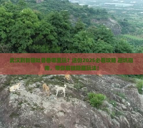 武汉到新疆吐鲁番哪里玩