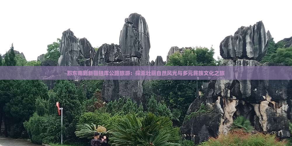 黔东南到新疆独库公路旅游