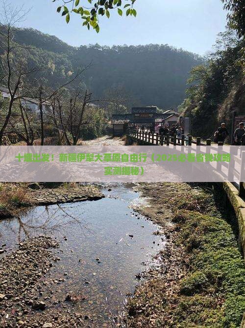 十堰去新疆伊犁大草原自由团