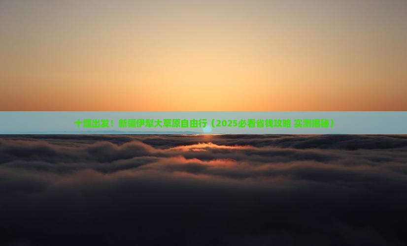 十堰去新疆伊犁大草原自由团