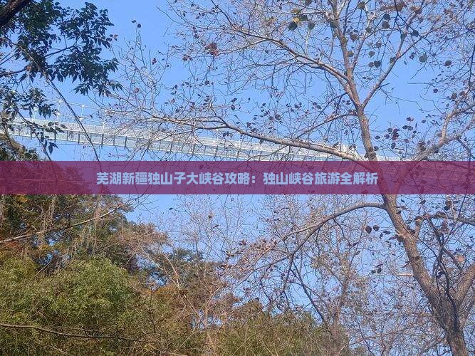 芜湖去新疆独山子大峡谷攻略