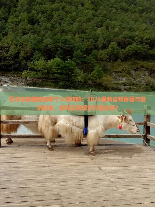 巴中去新疆喀纳斯个人游