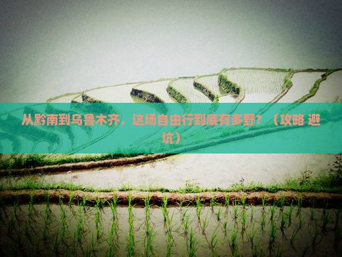 黔南到新疆乌鲁木齐自由行