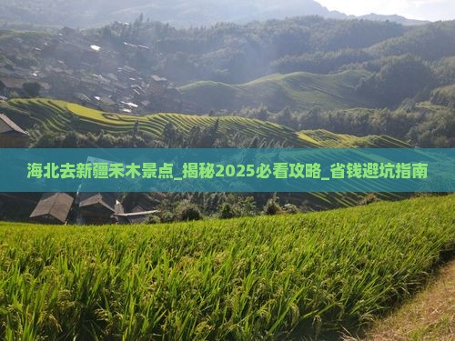 海北去新疆禾木景点