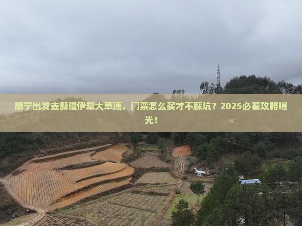 南宁去新疆伊犁大草原门票