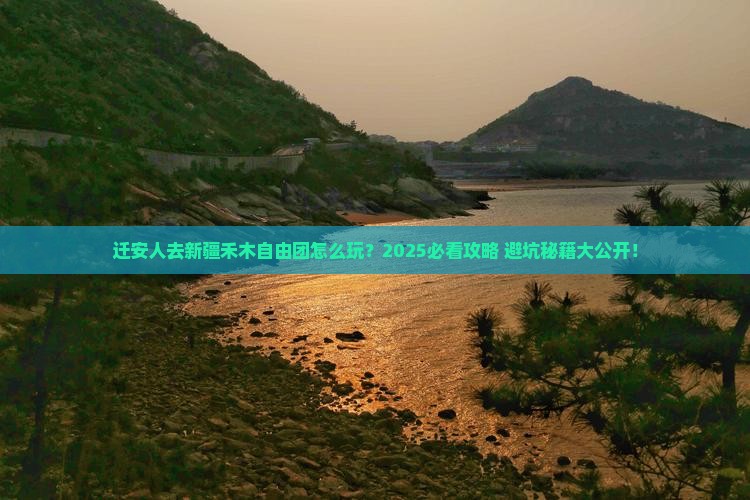 迁安去新疆禾木自由团