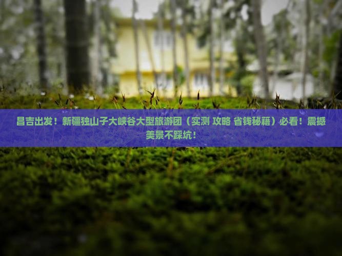 昌吉到新疆独山子大峡谷大型旅游团 昌吉到新疆独山子大峡谷大型旅游团