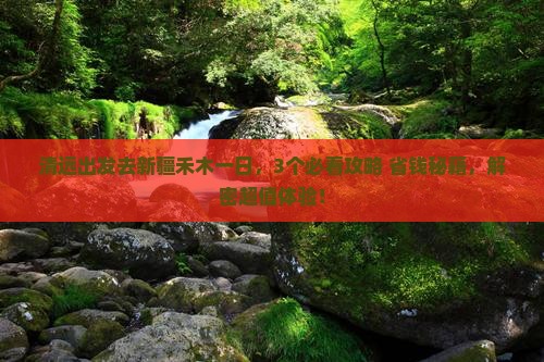 清远去新疆禾木一日