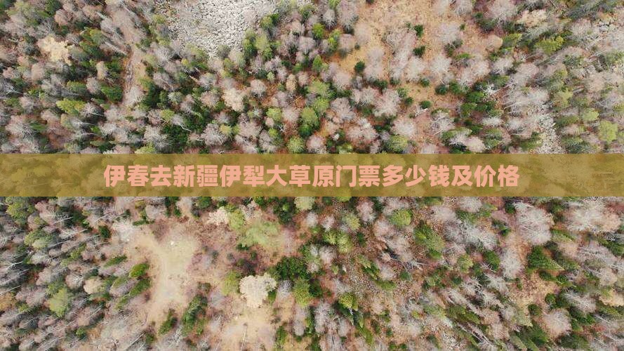 伊春去新疆伊犁大草原门票