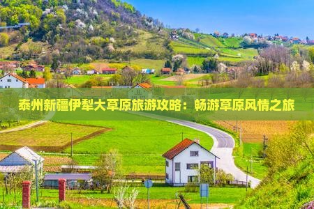 泰州去新疆伊犁大草原自由团