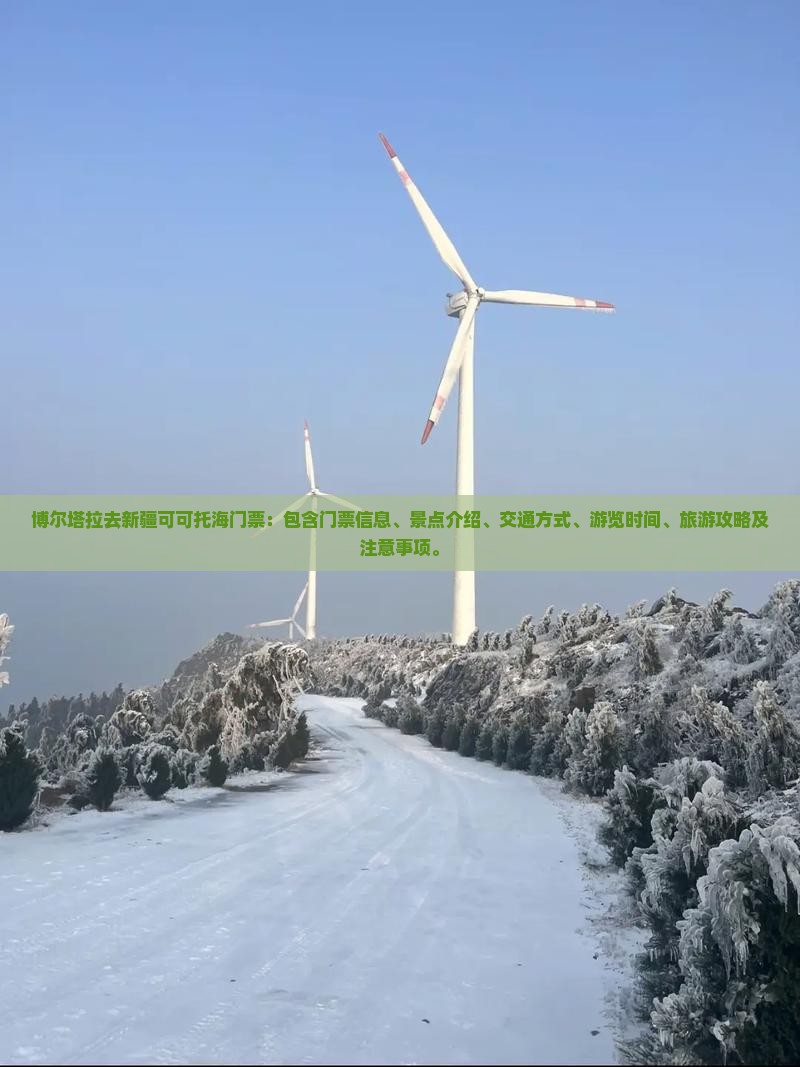 博尔塔拉去新疆可可托海门票