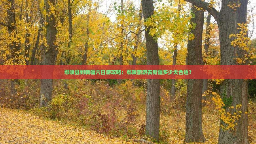 鄢陵县到新疆六日游