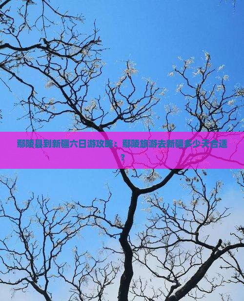 鄢陵县到新疆六日游