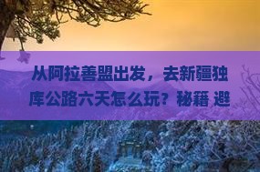 阿拉善盟去新疆独库公路六日游