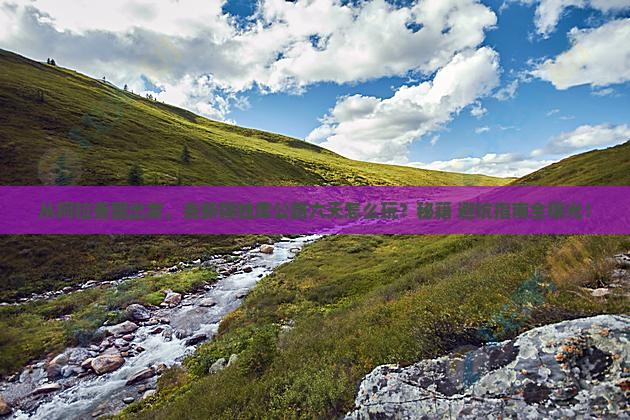 阿拉善盟去新疆独库公路六日游