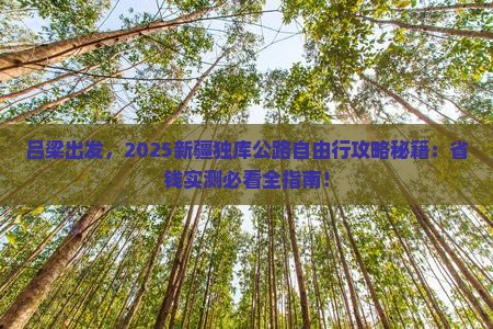 吕梁去新疆独库公路自由行