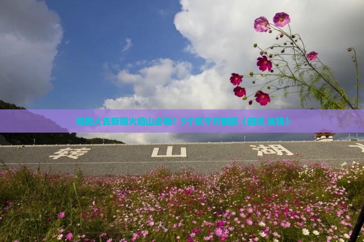 临猗去新疆火焰山旅行社