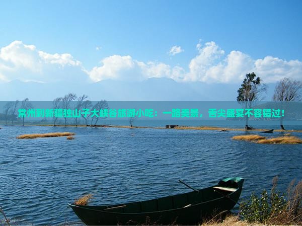 常州到新疆独山子大峡谷旅游小吃