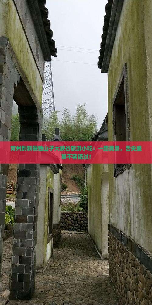 常州到新疆独山子大峡谷旅游小吃