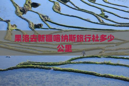 果洛去新疆喀纳斯旅行社