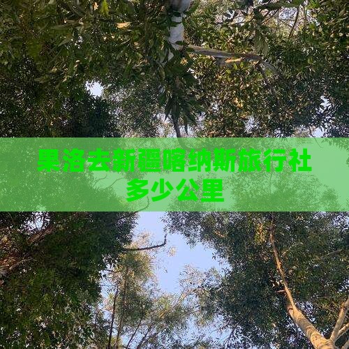 果洛去新疆喀纳斯旅行社