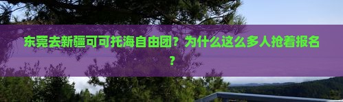 东莞去新疆可可托海自由团