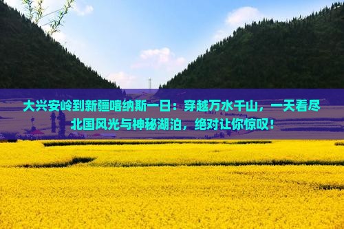 大兴安岭到新疆喀纳斯一日