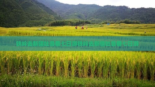 铁岭去新疆吐鲁番七日游