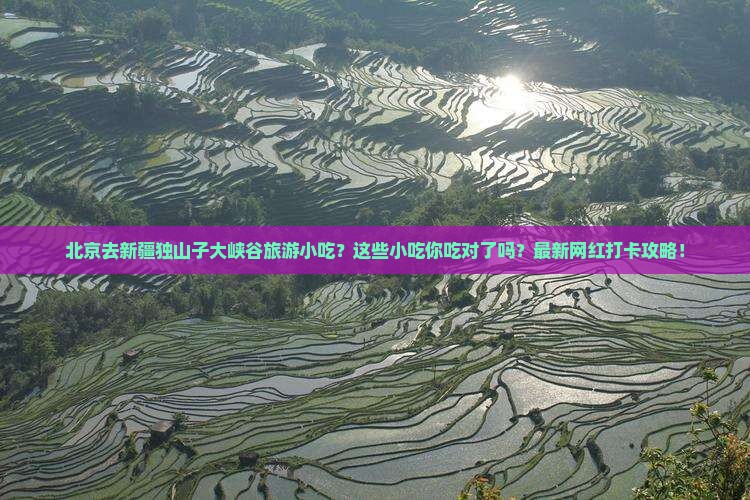 北京去新疆独山子大峡谷旅游小吃