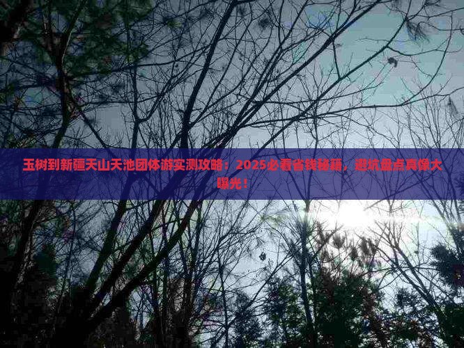 玉树到新疆天山天池团体旅游