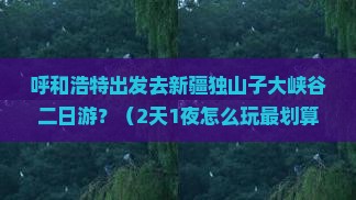 呼和浩特去新疆独山子大峡谷二日游