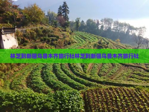 林芝到新疆乌鲁木齐旅行社