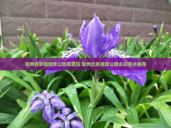 常州去新疆独库公路哪里玩