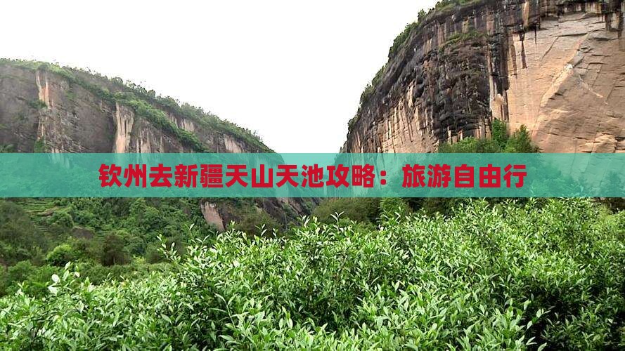 钦州去新疆天山天池自由行