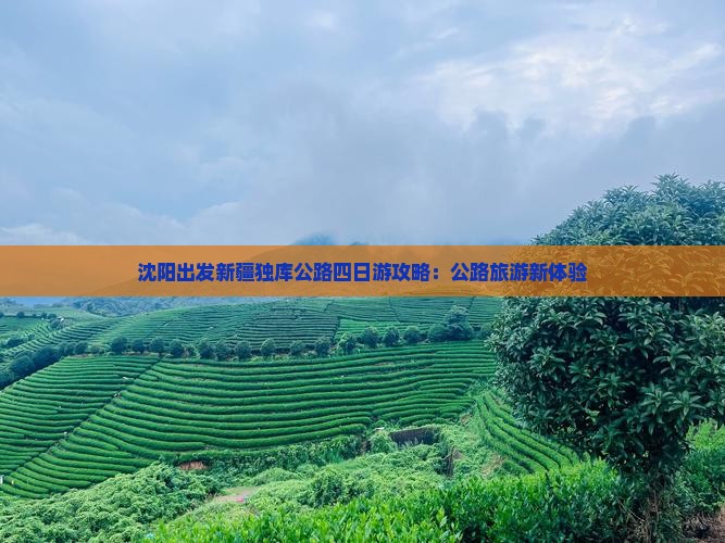 沈阳出发新疆独库公路四日游攻略：公路旅游新体验