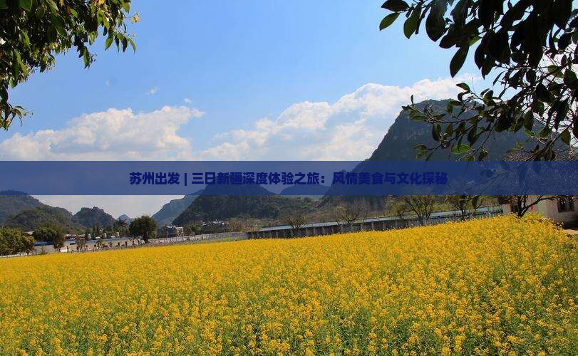 苏州出发 | 三日新疆深度体验之旅：风情美食与文化探秘