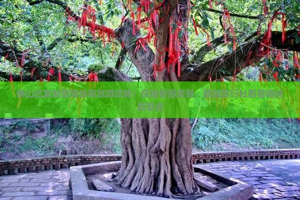 佛山出发新疆喀纳斯旅游攻略：探秘新疆美景，跟随旅行社看看喀纳斯景点