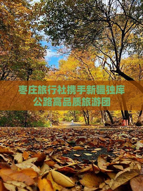 枣庄旅行社携手新疆独库公路高品质旅游团