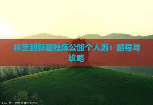 林芝到新疆独库公路个人游：路程与攻略