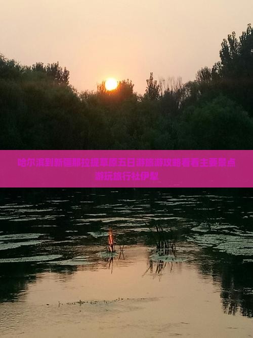 哈尔滨到新疆那拉提草原五日游旅游攻略看看主要景点游玩旅行社伊犁