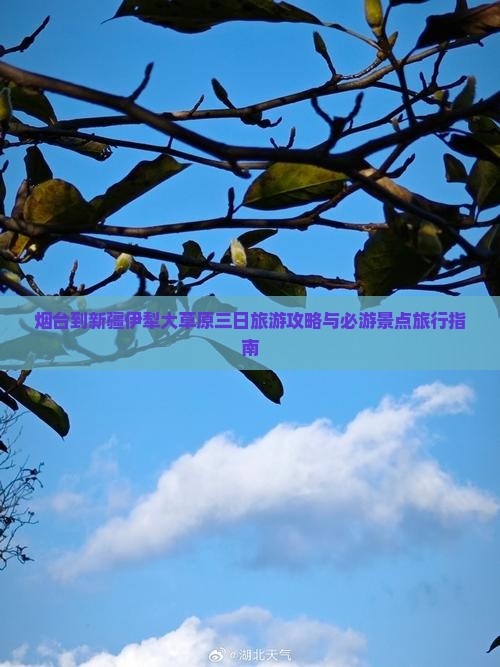 烟台到新疆伊犁大草原三日旅游攻略与必游景点旅行指南